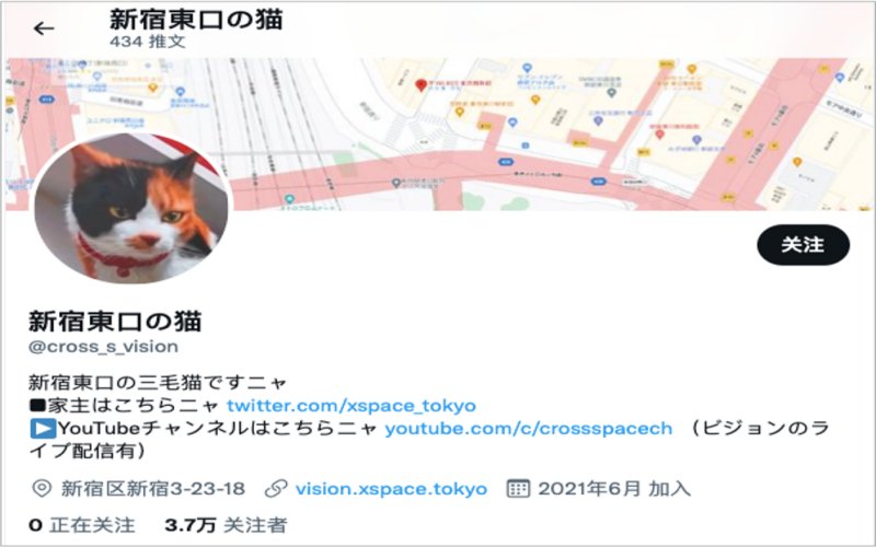 shinjuku cat 3d billboard in japan twitter