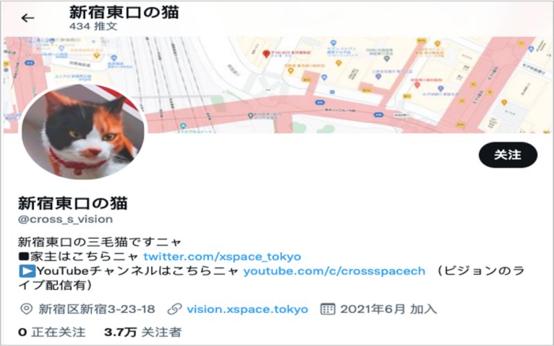 shinjuku cat 3d billboard in japan twitter