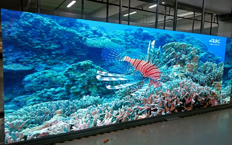 window led display